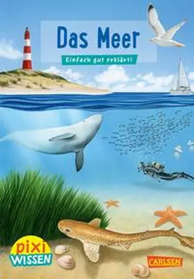 Hoffmann |  Pixi Wissen 11: Das Meer | Buch |  Sack Fachmedien