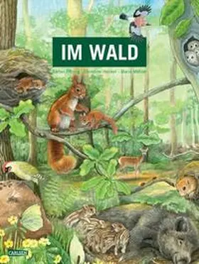 Oftring | Im Wald | Buch | 978-3-551-25461-0 | sack.de