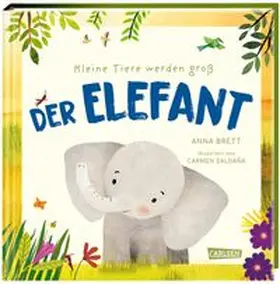 Brett |  Kleine Tiere werden groß - Der Elefant | Buch |  Sack Fachmedien
