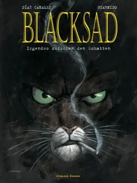 Guarnido / Canales |  Blacksad 01. Irgendwo zwischen den Schatten | Buch |  Sack Fachmedien