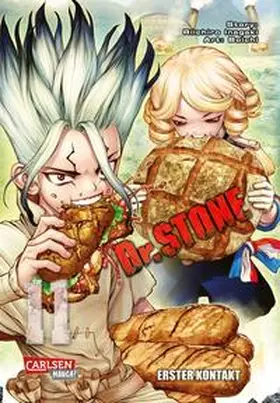 BOICHI / Inagaki | Dr. Stone 11 | Buch | 978-3-551-75018-1 | sack.de