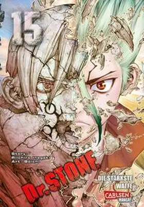 Inagaki |  Dr. Stone 15 | Buch |  Sack Fachmedien