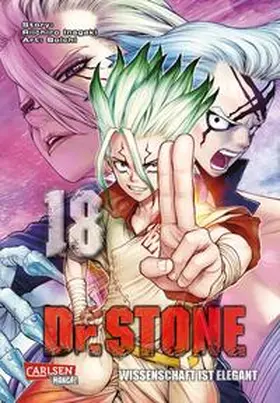BOICHI / Inagaki |  Dr. Stone 18 | Buch |  Sack Fachmedien
