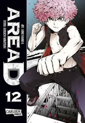 Kyung-Il / Nanatsuki |  Area D 12 | Buch |  Sack Fachmedien