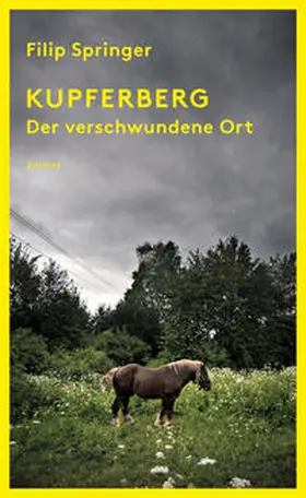 Springer |  Kupferberg | Buch |  Sack Fachmedien