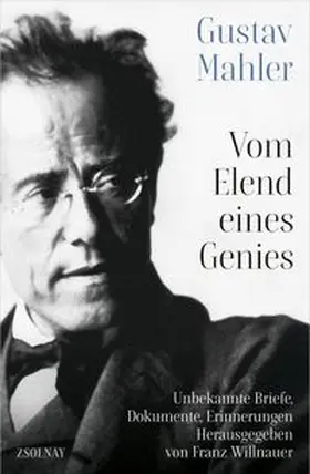 Willnauer |  Gustav Mahler Vom Elend eines Genies | Buch |  Sack Fachmedien