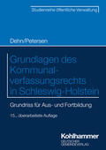 Petersen |  Grundlagen des Kommunalverfassungsrechts in Schleswig-Holstein | Buch |  Sack Fachmedien
