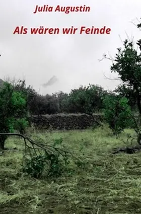 Augustin |  Als wären wir Feinde | Buch |  Sack Fachmedien
