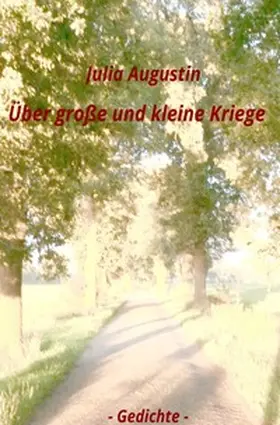 Augustin |  Über große und kleine Kriege | Buch |  Sack Fachmedien