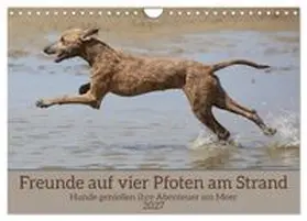 CALVENDO / Bittner |  Freunde auf vier Pfoten am Strand (Wandkalender 2027 DIN A4 quer), CALVENDO Monatskalender | Sonstiges |  Sack Fachmedien