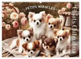 CALVENDO / Warstat |  Chiots Chihuahua – Petits miracles (Calendrier mural 2027 DIN A2 vertical), CALVENDO calendrier mensuel | Sonstiges |  Sack Fachmedien