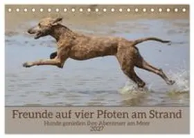 CALVENDO / Bittner |  Freunde auf vier Pfoten am Strand (Tischkalender 2027 DIN A5 quer), CALVENDO Monatskalender | Sonstiges |  Sack Fachmedien