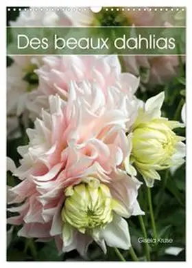 CALVENDO / Kruse |  Des beaux dahlias (Calendrier mural 2027 DIN A3 horizontal), CALVENDO calendrier mensuel | Sonstiges |  Sack Fachmedien