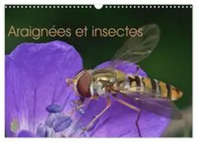 CALVENDO / Kulenkampff |  Araignées et insectes (Calendrier mural 2027 DIN A3 vertical), CALVENDO calendrier mensuel | Sonstiges |  Sack Fachmedien