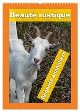 CALVENDO / Planche |  Beauté rustique Regards animaliers (Calendrier mural 2027 DIN A2 horizontal), CALVENDO calendrier mensuel | Sonstiges |  Sack Fachmedien