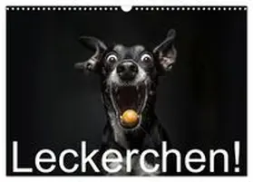 CALVENDO / Moers |  Leckerchen! (Wandkalender 2027 DIN A3 quer), CALVENDO Monatskalender | Sonstiges |  Sack Fachmedien