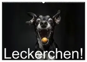 CALVENDO / Moers | Leckerchen! (Wandkalender 2027 DIN A2 quer), CALVENDO Monatskalender | Sonstiges | 978-3-569-04208-7 | www.sack.de