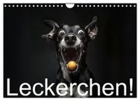 CALVENDO / Moers |  Leckerchen! (Wandkalender 2027 DIN A4 quer), CALVENDO Monatskalender | Sonstiges |  Sack Fachmedien