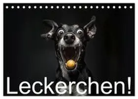 CALVENDO / Moers |  Leckerchen! (Tischkalender 2027 DIN A5 quer), CALVENDO Monatskalender | Sonstiges |  Sack Fachmedien
