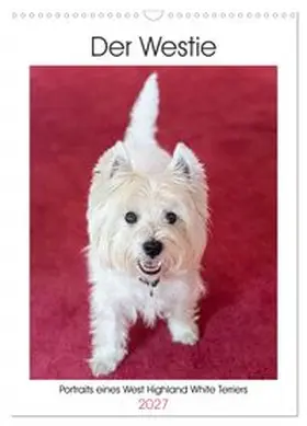 CALVENDO / Rohde |  Der Westie - Portrait eines West Highland White Terriers (Wandkalender 2027 DIN A3 hoch), CALVENDO Monatskalender | Sonstiges |  Sack Fachmedien