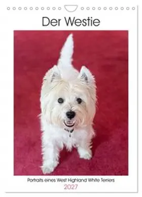 CALVENDO / Rohde |  Der Westie - Portrait eines West Highland White Terriers (Wandkalender 2027 DIN A4 hoch), CALVENDO Monatskalender | Sonstiges |  Sack Fachmedien