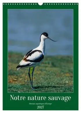 CALVENDO / Alain Gaymard |  Notre nature sauvage, oiseaux aquatiques d'Europe (Calendrier mural 2027 DIN A3 horizontal), CALVENDO calendrier mensuel | Sonstiges |  Sack Fachmedien