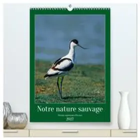 CALVENDO / Alain Gaymard |  Notre nature sauvage, oiseaux aquatiques d'Europe (Calendrier mural haut de gamme 2027 DIN A2 horizontal), CALVENDO calendrier mensuel | Sonstiges |  Sack Fachmedien