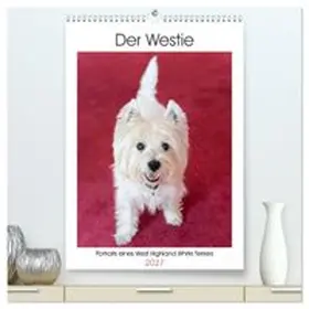 CALVENDO / Rohde |  Der Westie - Portrait eines West Highland White Terriers (hochwertiger Premium Wandkalender 2027 DIN A2 hoch), Kunstdruck in Hochglanz | Sonstiges |  Sack Fachmedien
