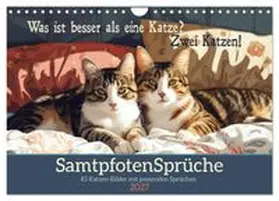 CALVENDO / Löwer |  Samtpfotensprüche (Wandkalender 2027 DIN A4 quer), CALVENDO Monatskalender | Sonstiges |  Sack Fachmedien