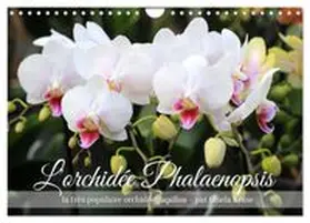 CALVENDO / Kruse |  L'orchidée Phalaenopsis (Calendrier mural 2027 DIN A4 vertical), CALVENDO calendrier mensuel | Sonstiges |  Sack Fachmedien