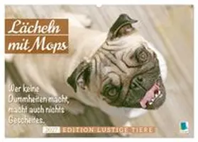 CALVENDO | Lächeln mit Mops (Wandkalender 2027 DIN A2 quer), CALVENDO Monatskalender | Sonstiges | 978-3-569-17711-6 | www.sack.de