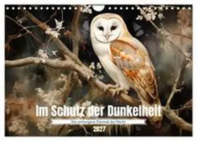 CALVENDO / Tapper |  Im Schutz der Dunkelheit (Wandkalender 2027 DIN A4 quer), CALVENDO Monatskalender | Sonstiges |  Sack Fachmedien