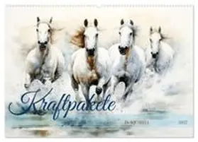 CALVENDO / Tapper |  Kraftpakete in Aquarell (Wandkalender 2027 DIN A2 quer), CALVENDO Monatskalender | Sonstiges |  Sack Fachmedien
