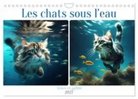 CALVENDO / Aupeix |  Les chats sous l'eau (Calendrier mural 2027 DIN A4 vertical), CALVENDO calendrier mensuel | Sonstiges |  Sack Fachmedien