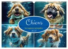 CALVENDO / Aupeix |  Chiens : les nageurs intrépides (Calendrier mural 2027 DIN A3 vertical), CALVENDO calendrier mensuel | Sonstiges |  Sack Fachmedien