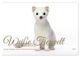 CALVENDO / Tapper |  Weiße Tierwelt (Wandkalender 2027 DIN A2 quer), CALVENDO Monatskalender | Sonstiges |  Sack Fachmedien