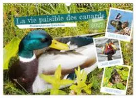 CALVENDO / Kruse |  La vie paisible des canards (Calendrier mural 2027 DIN A3 vertical), CALVENDO calendrier mensuel | Sonstiges |  Sack Fachmedien