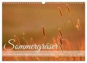 CALVENDO / Tapper |  Sommergräser (Wandkalender 2027 DIN A3 quer), CALVENDO Monatskalender | Sonstiges |  Sack Fachmedien