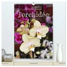 CALVENDO / Kruse |  Miracle floral l'orchidée (Calendrier mural haut de gamme 2027 DIN A2 horizontal), CALVENDO calendrier mensuel | Sonstiges |  Sack Fachmedien