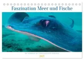 CALVENDO / Schulz |  Faszination Meer und Fische (Tischkalender 2027 DIN A5 quer), CALVENDO Monatskalender | Sonstiges |  Sack Fachmedien