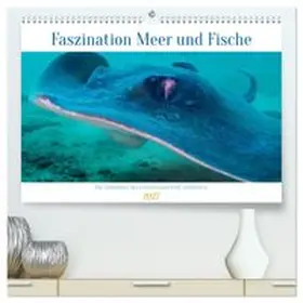 CALVENDO / Schulz |  Faszination Meer und Fische (hochwertiger Premium Wandkalender 2027 DIN A2 quer), Kunstdruck in Hochglanz | Sonstiges |  Sack Fachmedien