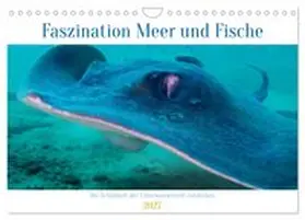 CALVENDO / Schulz |  Faszination Meer und Fische (Wandkalender 2027 DIN A4 quer), CALVENDO Monatskalender | Sonstiges |  Sack Fachmedien