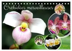 CALVENDO / Kruse |  Orchidées merveilleuses (Calendrier de bureau 2027 DIN A5 vertical), CALVENDO calendrier mensuel | Sonstiges |  Sack Fachmedien