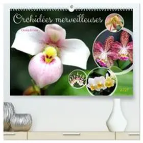 CALVENDO / Kruse |  Orchidées merveilleuses (Calendrier mural haut de gamme 2027 DIN A2 vertical), CALVENDO calendrier mensuel | Sonstiges |  Sack Fachmedien