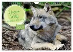 CALVENDO / Rohde |  Unsere Wölfe - Ein Wildtier kehrt zurück (Wandkalender 2027 DIN A4 quer), CALVENDO Monatskalender | Sonstiges |  Sack Fachmedien