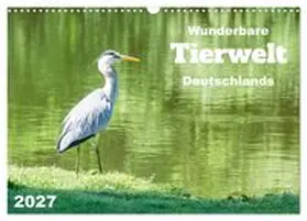 CALVENDO / Rohde |  Wunderbare Tierwelt Deutschlands (Wandkalender 2027 DIN A3 quer), CALVENDO Monatskalender | Sonstiges |  Sack Fachmedien