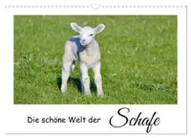 CALVENDO / Rohde |  Die schöne Welt der Schafe (Wandkalender 2027 DIN A3 quer), CALVENDO Monatskalender | Sonstiges |  Sack Fachmedien