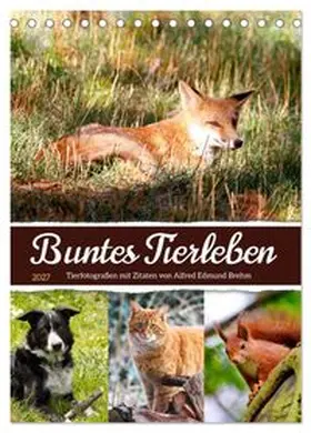 CALVENDO / Löwer |  Buntes Tierleben (Tischkalender 2027 DIN A5 hoch), CALVENDO Monatskalender | Sonstiges |  Sack Fachmedien
