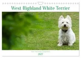 CALVENDO / Rohde |  West Highland White Terrier - Your charming companion (Wall Calendar 2027 DIN A4 landscape), CALVENDO 12 Month Wall Calendar | Sonstiges |  Sack Fachmedien
