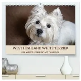 CALVENDO / Rohde |  WEST HIGHLAND WHITE TERRIER - DER WESTIE - EIN HUND MIT CHARISMA (hochwertiger Premium Wandkalender 2027 DIN A2 quer), Kunstdruck in Hochglanz | Sonstiges |  Sack Fachmedien